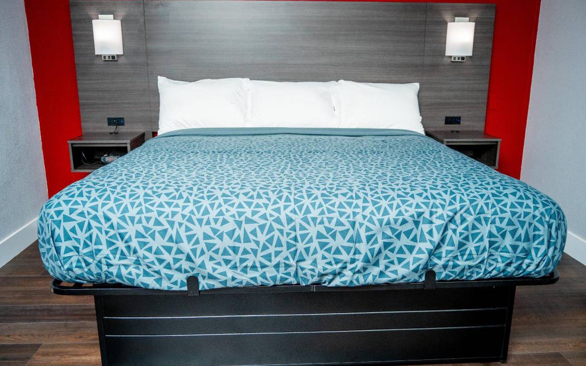 Chinchilla Hotel | 30 m² Hotel ∙ 127 guests