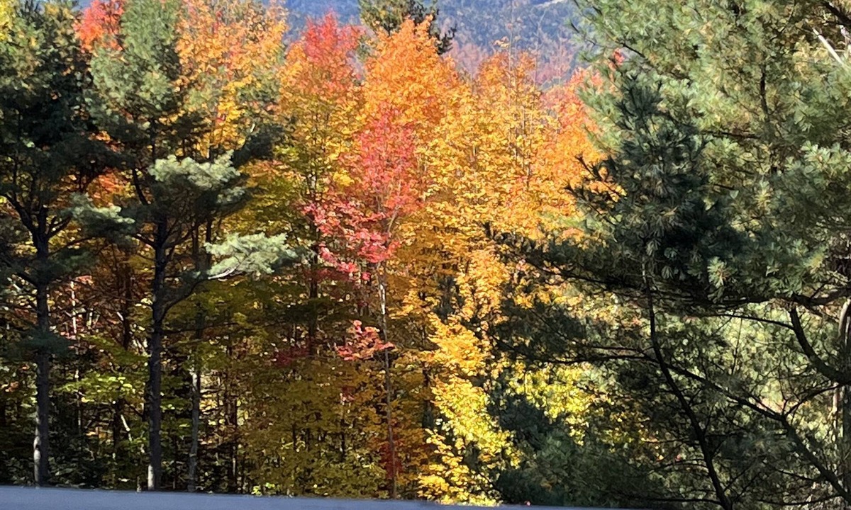 Wilmington Ski Chalet | A Mountain View Chalet - Whiteface - Lake Placid