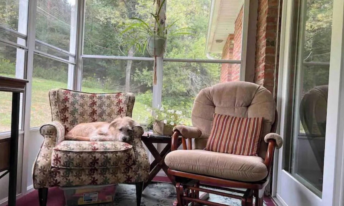 Coudersport House | Corey Guest House close to Dark Sky’s & ATV Trail