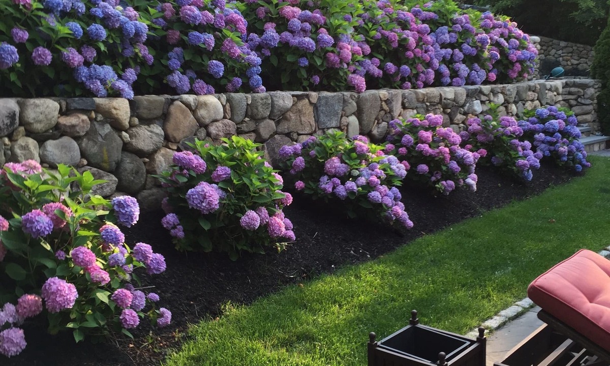Hyannis Port House | Experience Hy-View Hyannisport Exceptional Summer Getaway