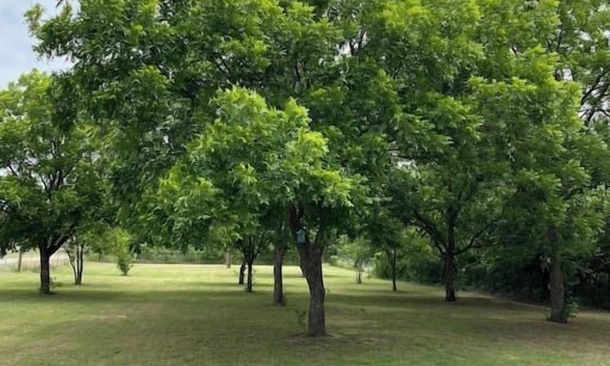 Graham House | Graham Pet Friendly Route 66 @ The Mistletoe Farm