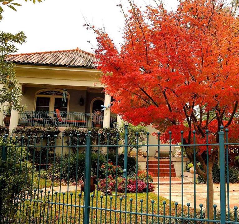 New Orleans Bed & Breakfast | Laurel Bed and Breakfast