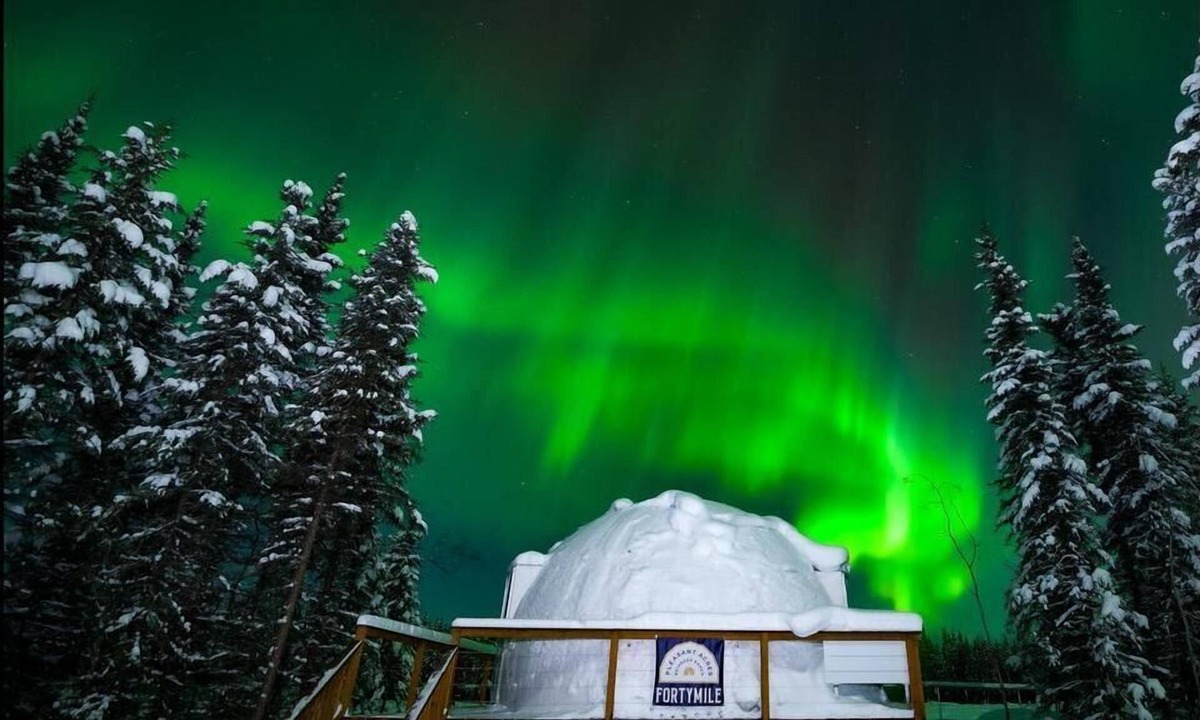 Pleasant Valley Villa | Mulchatna Igloo: Reindeer Walking Path and Aurora