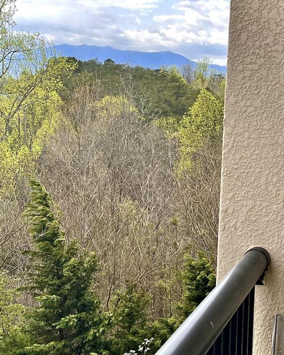 Pigeon Forge Apartment | MVC - Unit 5405 - The WilderNest