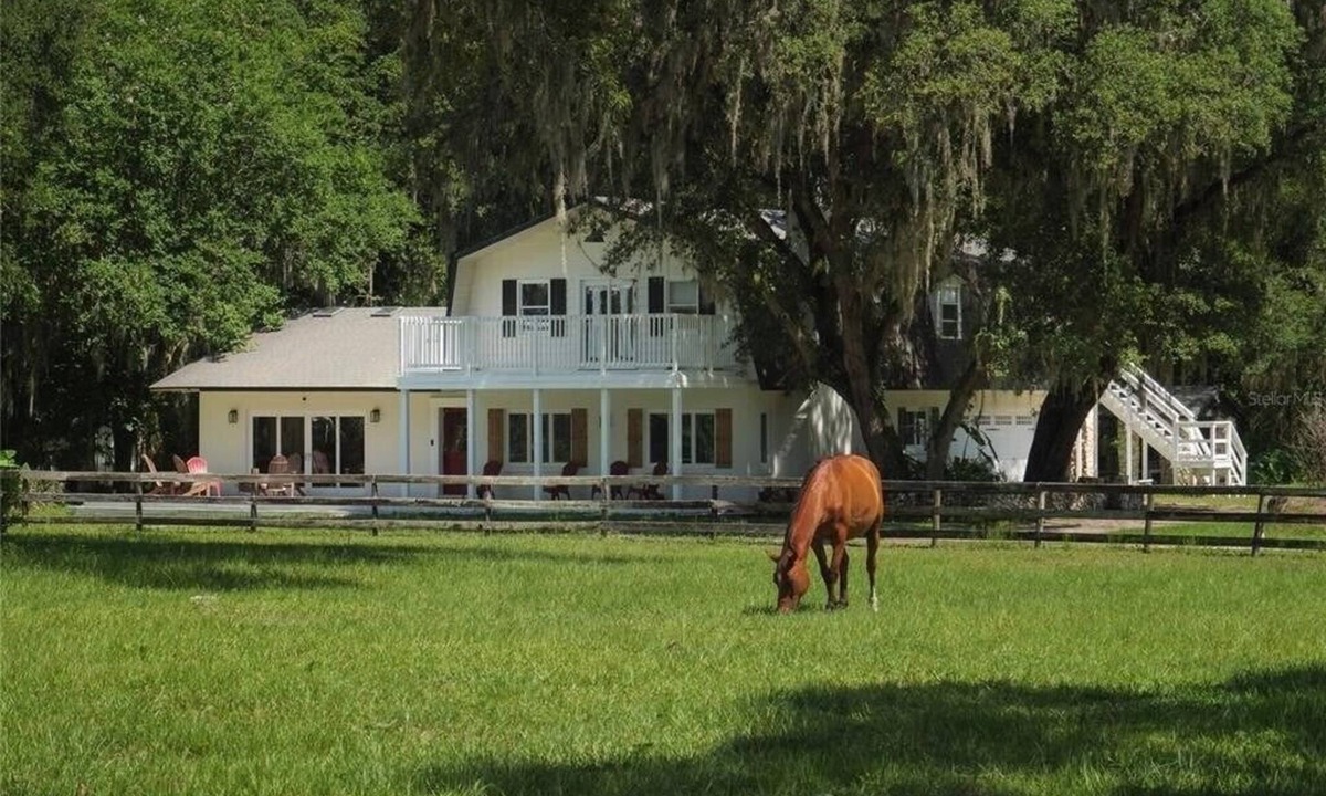 Ocala Other | New! Stunning 10 ac Ocala Farm-WEC, HITS, SilverSprings, hour to Gainesville/UF