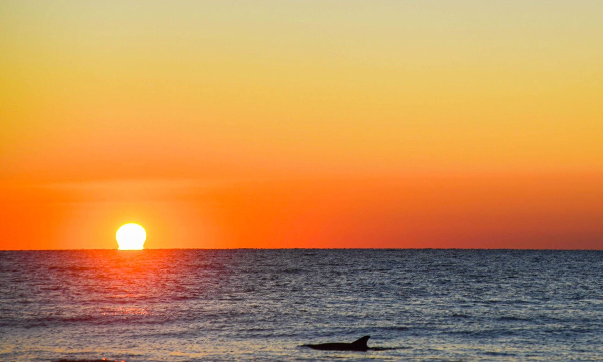 Folly Field Condo | Oceanfront condo w/free WiFi, balcony, shared pool & tennis court, & private W/D