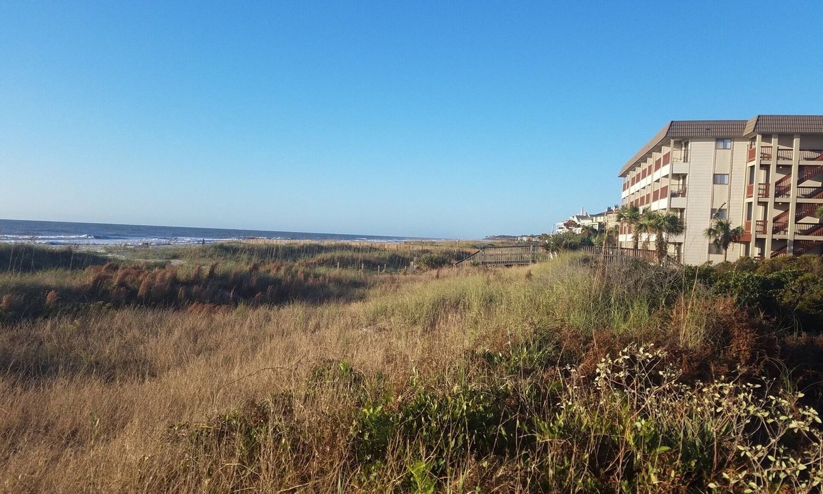 Hampton Place Hilton Head Island | Folly Field