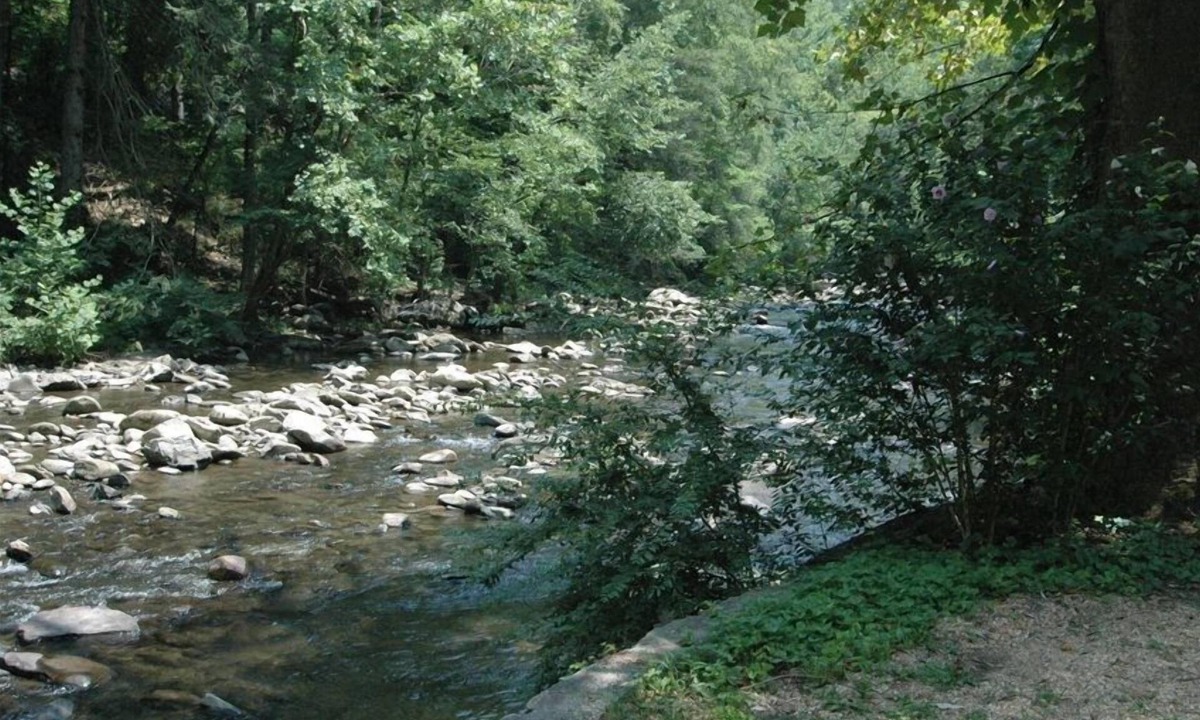 Gatlinburg Cabin | On River and Minutes to dwntwn Gatlinburg w/WIFI, Sauna and Hot Tub