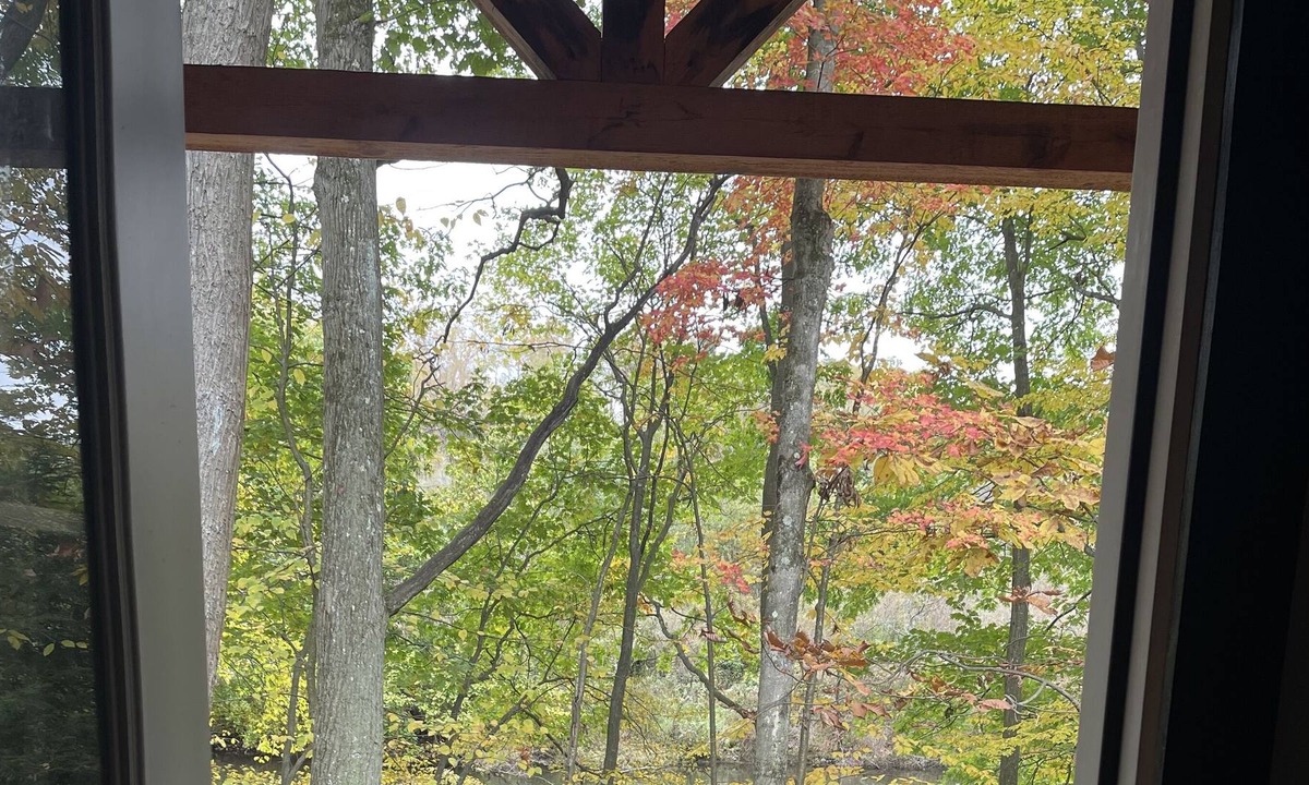 Clearfield Cabin | Peaceful Primitive Riverfront Cabin. Pet Friendly