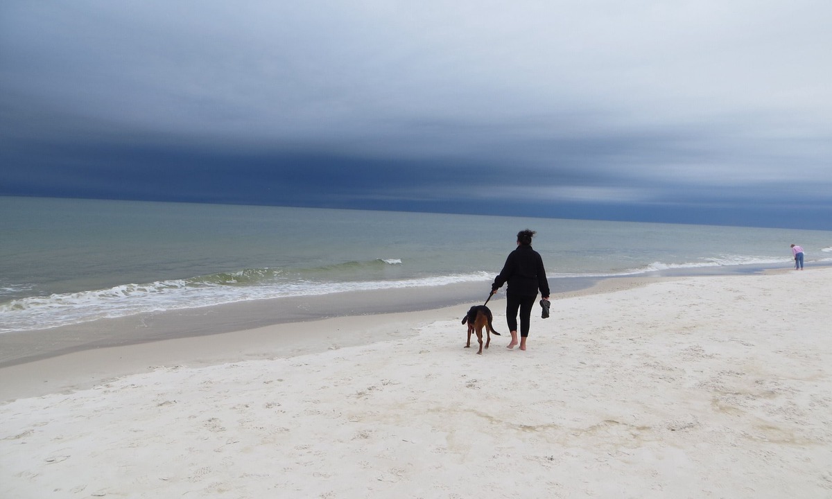 Port St. Joe House | Pet-Friendly Beach Retreat with Weekly Discounts for Your Relaxing Getaway!