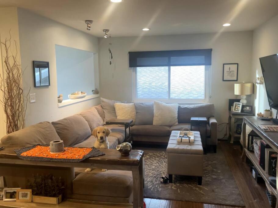 Arapahoe Ridge House | Pet friendly in Boulder! Minutes from CU & Pearl!