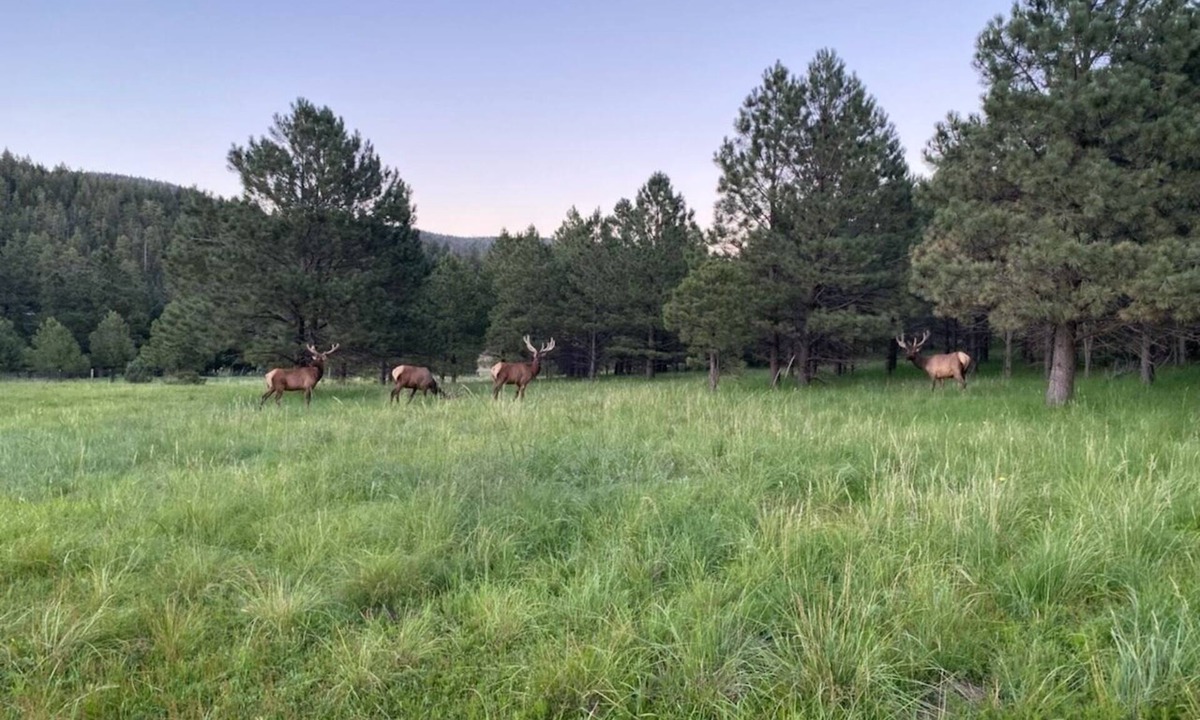 Cloudcroft House | Retreat at Saviour Trail, New Mexico for your Reunion or Family get away