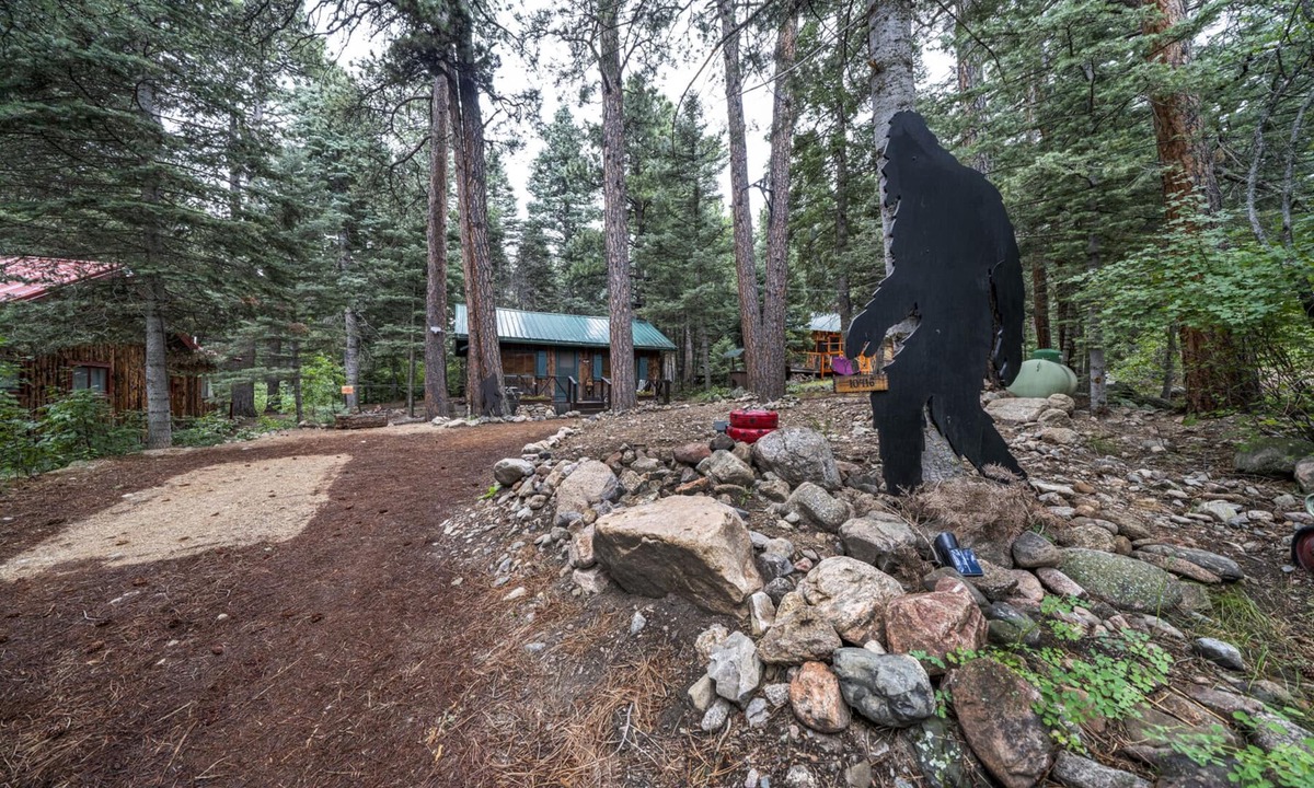 Rye Cabin | Rustic Cozy Cabin at the base of Greenhorn Mountain.