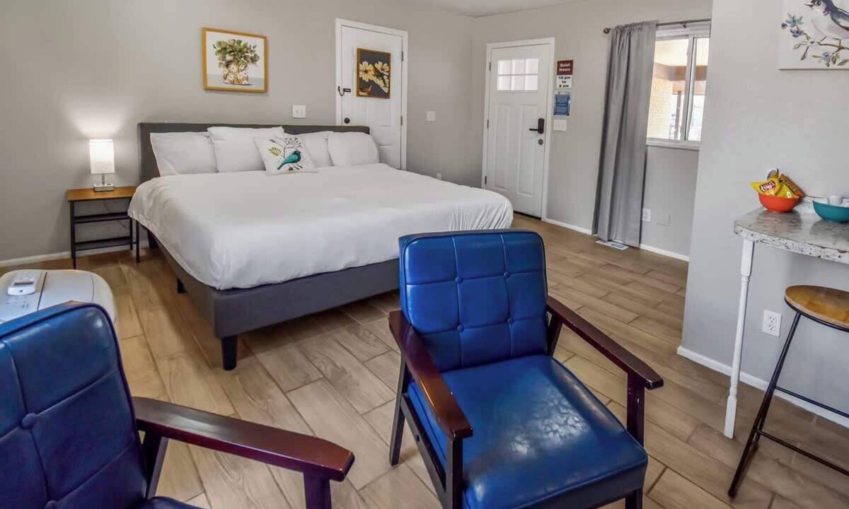 Dupont House | Spacious Studio with King Bed & Fast WiFi