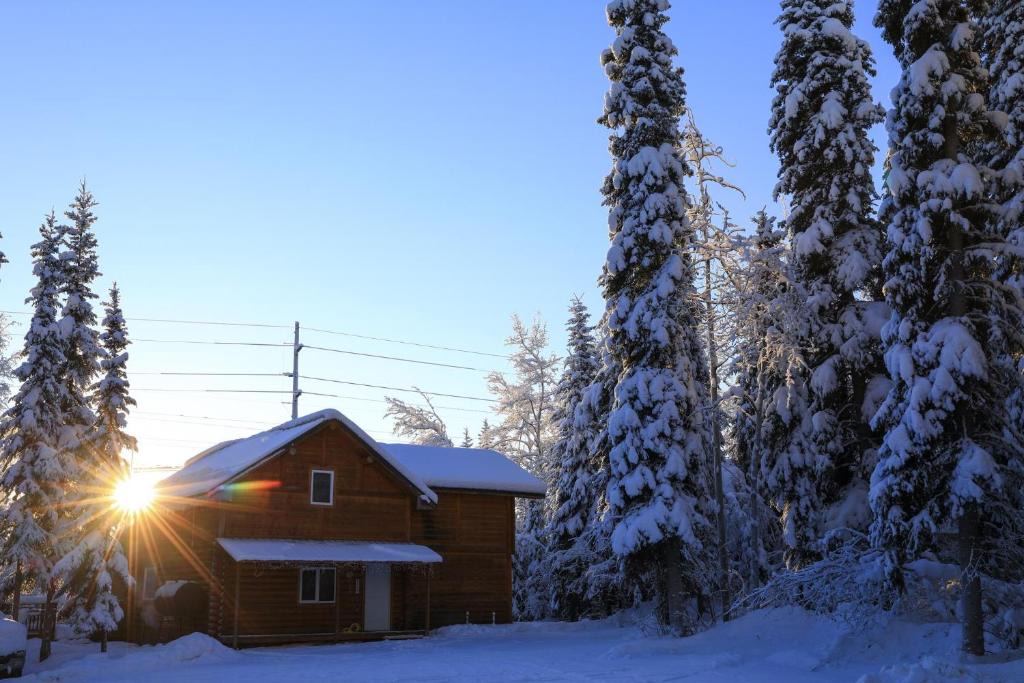 Fairbanks House | The Cabin in the Woods 1 森林小屋 1