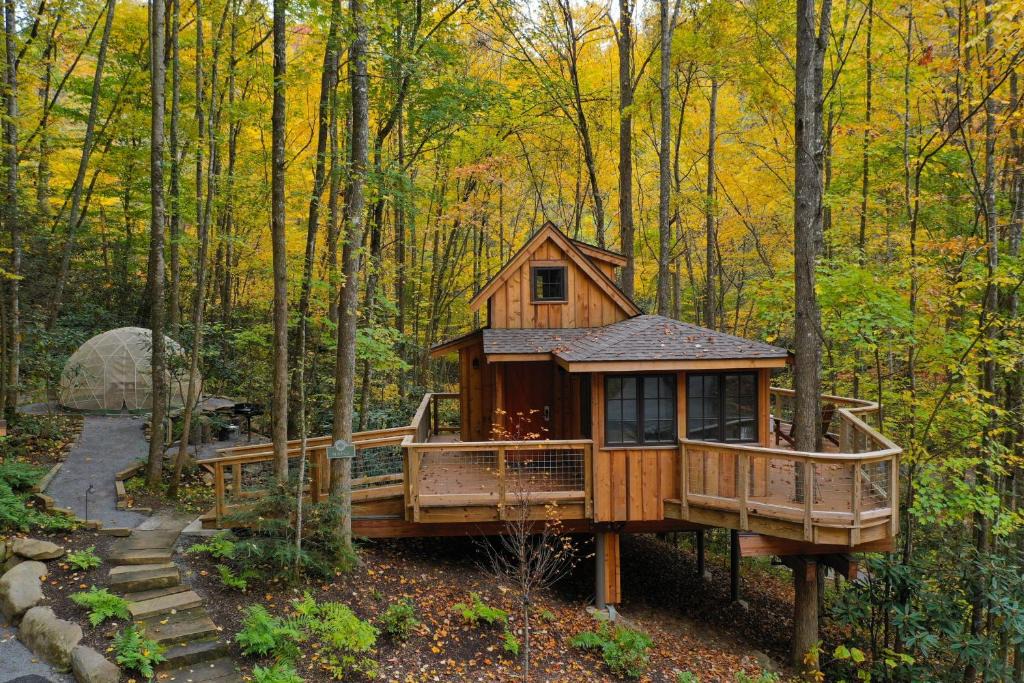 The Treehouse Grove At Norton Creek | Gatlinburg