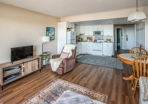 1st Floor 1 Bedroom Cute and Cozy - Walk to beach and golf! No Cleaning Fees.
