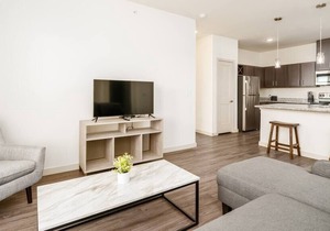 3 Bdr Texas Corporate Housing Apartment