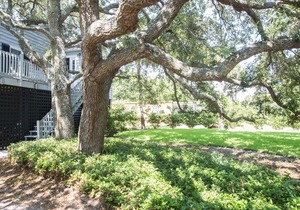 3 BR, 2 BA Charming Elevated House - 1 Block to Beach! Large Screened Porch!