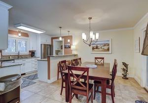 5 Piping Plover-Dog- Friendly, 4th Row(100 yards) Ocean w/Private Pool