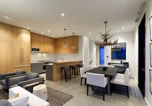 7MM Aspen New Construction Residence in Town by Aspen Vacation Rentals™