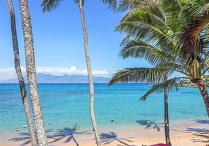 Aloha Condos, Napili Bay Resort, Condo 201, Beachfront, Renovated