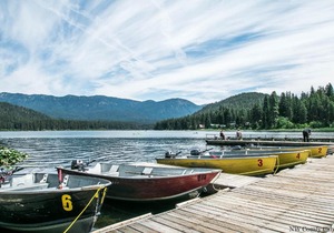 Alpine Acres Lodge