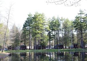 Alpine Lake Lakefront Cabin 9