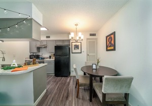Austinite - Near UT, Hyde Park & Moody Center
