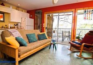 Barton Hills Condo