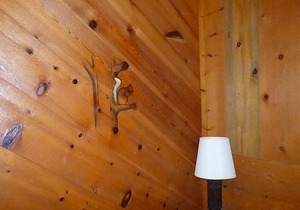 Bear Paw Cottage (#6 King)Adorable;Hot Tub;Pet Friendly;2 Adults/2 Children Max