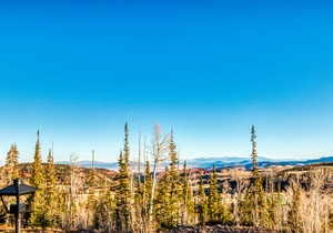 Charming, cabin-like setting with great mountain views and ski access!