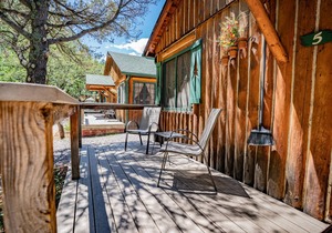 Colorado Bear Creek Cabin 5