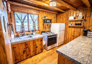 Colorado Bear Creek Cabin 8