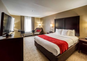 Comfort Inn & Suites FM1960-Champions