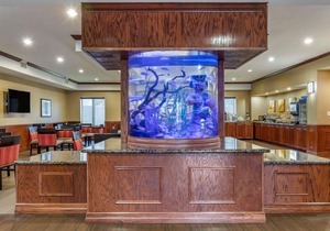 Comfort Suites Near Texas A&M Corpus Christi