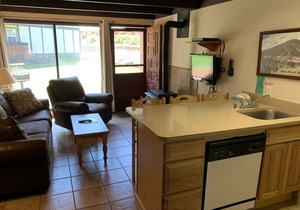 Condo in the mountains!
