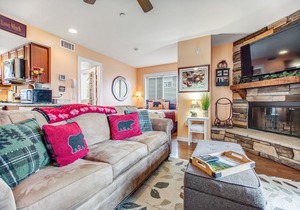 Condo w/free attraction tickets, fireplace, & views -close to skiing & downtown