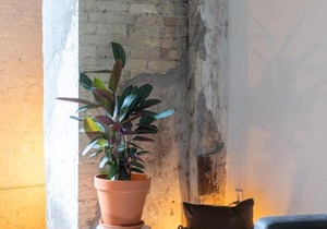 Cozy 1BR Close to Fiserv with Parking