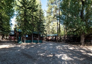 Cozy Bear 8, 1 BR, Fireplace, Midtown, Grill, Sleeps 4