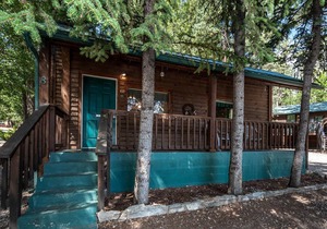 Cozy Bear 8, 1 BR, Fireplace, Midtown, Grill, Sleeps 4