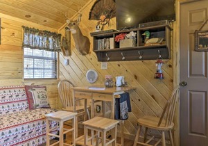 Cozy Cumberland Cabin in the Allegheny Mountains!