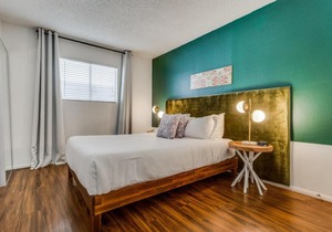 CozySuites 2BR Apartment Skyline Barton Creek #05