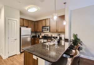 Downtown in the Gulch - Spacious 1bed/1bath - Stay like you Live here!