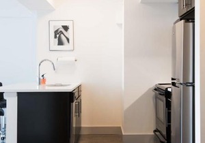 FRONTDESK 1 BR City Apt near STL Art Museum