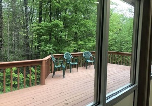 Gore Mnt. Adirondack 16N skis for rent