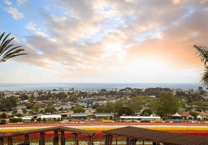 Grand Pacific Palisades Resort - 2 Bedroom Premier