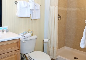 Homey Studio Suite w/ WiFi & Free Parking - Near Beach & Attractions