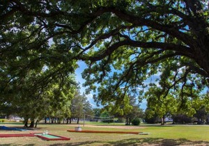 Lake Texoma Camping Resort Cabin 17