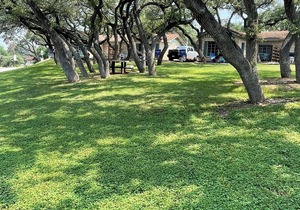 LakeTravis Bungalow 3: Free waterpark, low cleaning fee